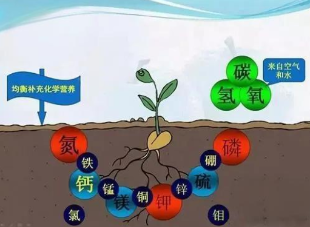 ?土壤氮磷鉀標(biāo)準(zhǔn)值是多少？讓我們一起探索！